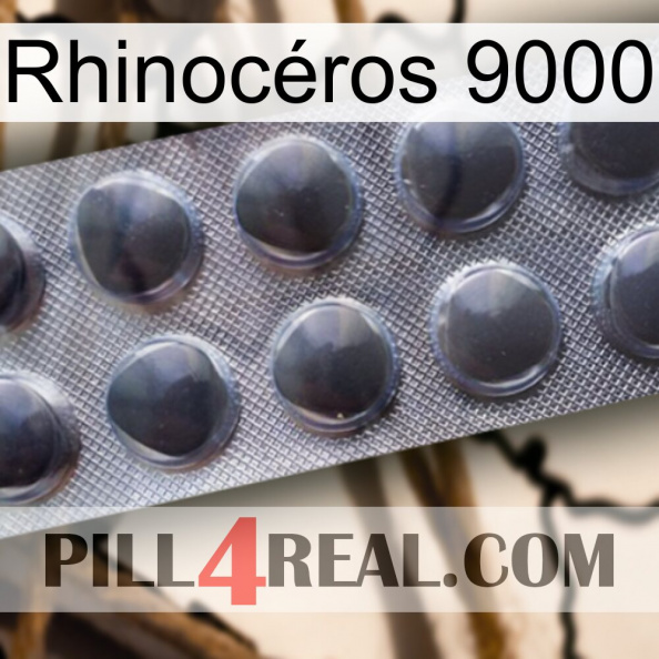 Rhinocéros 9000 30